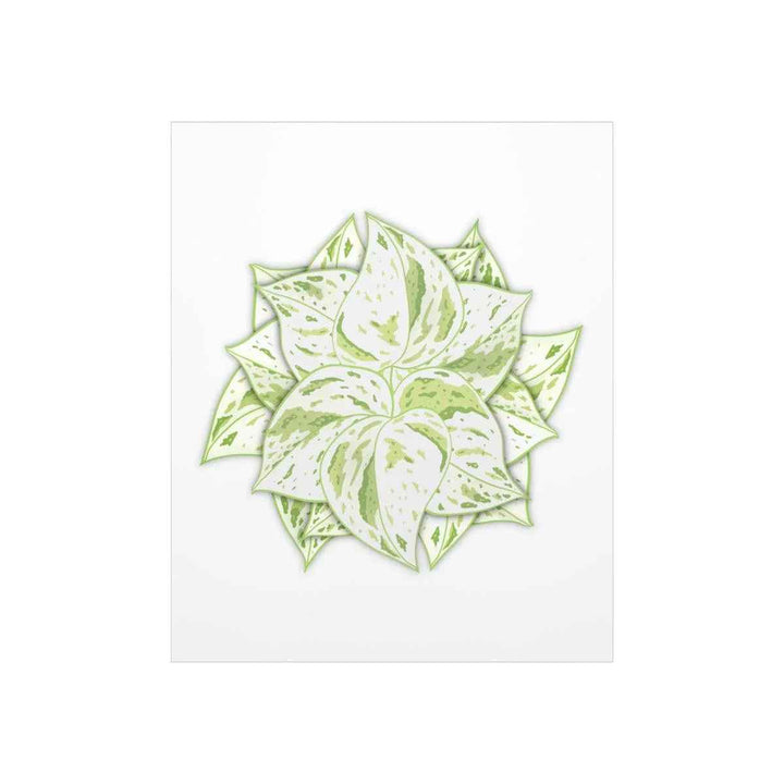 Snow Queen Pothos Print – Variegated Pothos Art on Museum Grade Paper Unframed
