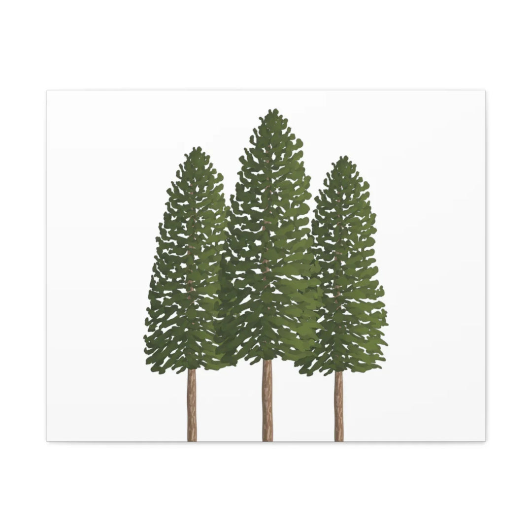Ponderosa Pine Canvas - Large Stretched Cotton Canvas Art Print With Matte Finish
