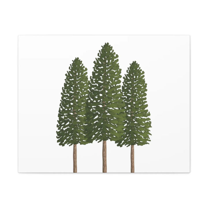 Ponderosa Pine Canvas - Large Stretched Cotton Canvas Art Print With Matte Finish