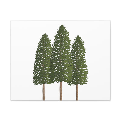 Ponderosa Pine Canvas