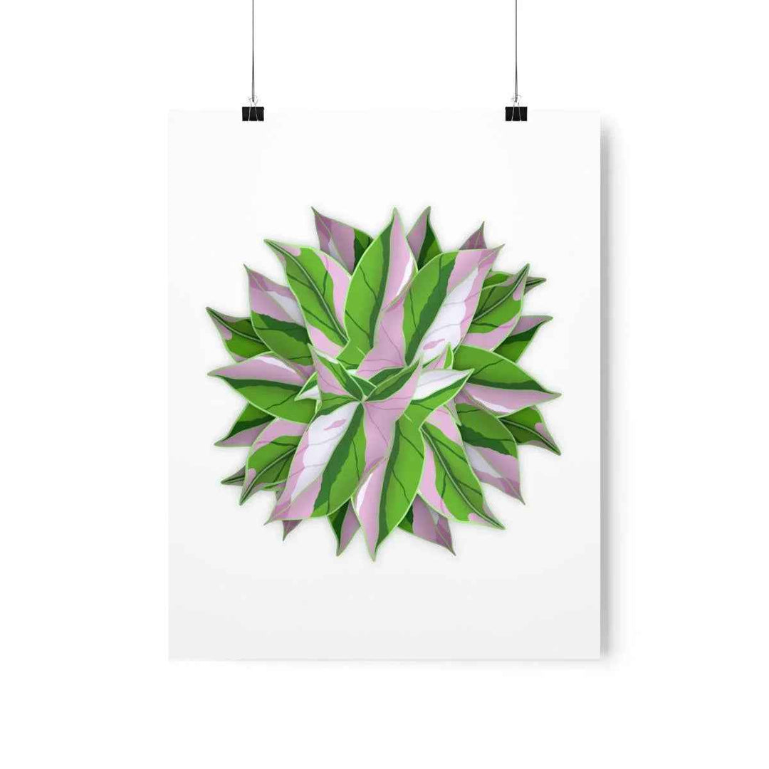Tricolor Syngonium Print - Botanical Poster on Museum Grade Paper | Archival Ink Unframed
