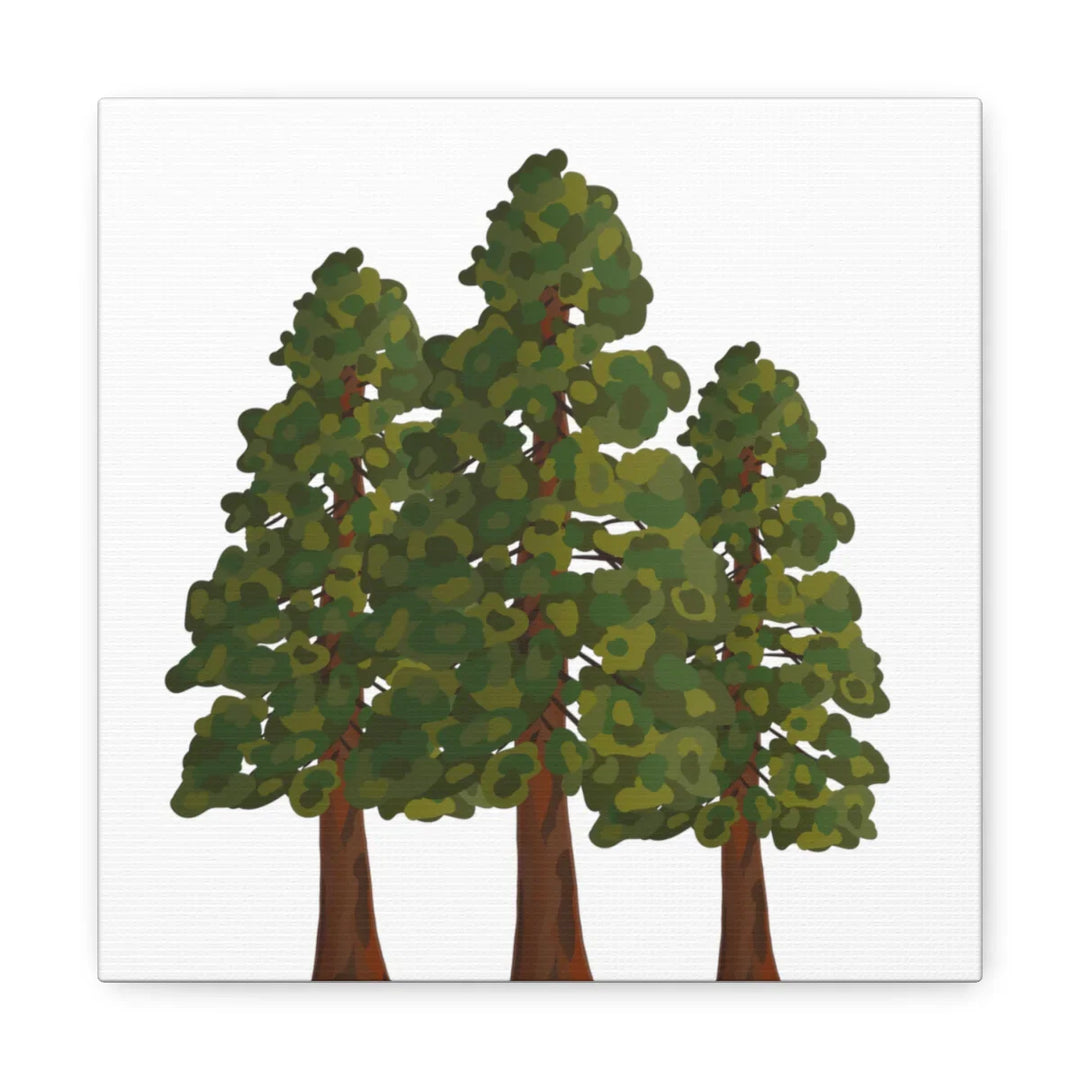 Coastal Redwoods Canvas - Stretched Cotton Canvas Art Print | Matte Finish Wall Hanging Artwork