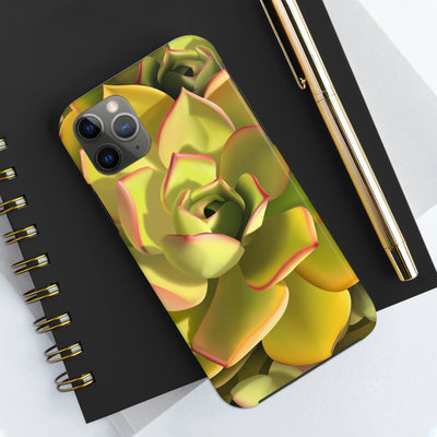 Noble Aeonium Succulent Phone Case, Phone Case, Printify, Accessories, Glossy, iPhone Cases, Matte, Phone accessory, Phone Cases, Samsung Cases, Laura Christine Photography & Design, laurachristinedesign.com