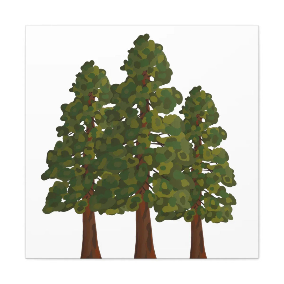 Coastal Redwoods Canvas - Stretched Cotton Canvas Art Print | Matte Finish Wall Hanging Artwork