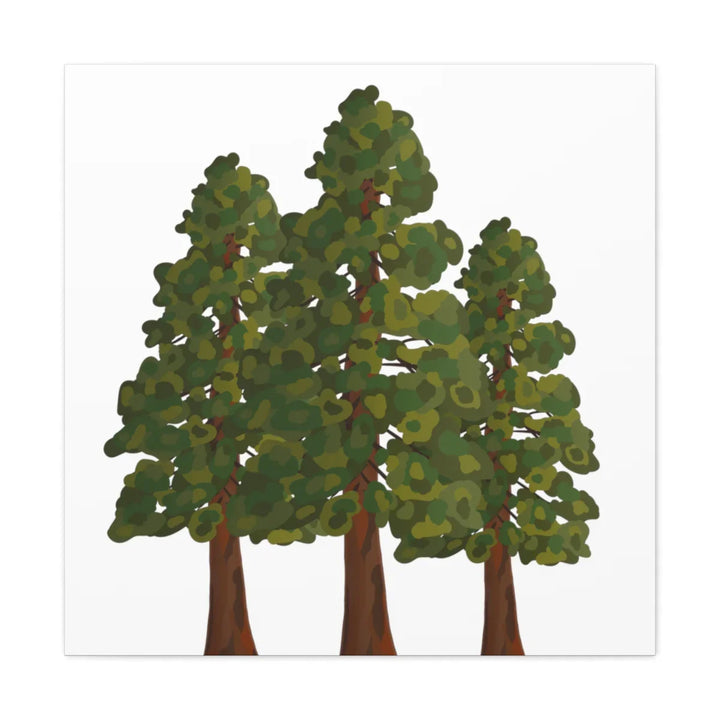 Coastal Redwoods Canvas - Stretched Cotton Canvas Art Print | Matte Finish Wall Hanging Artwork