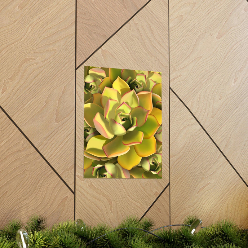 Noble Aeonium Succulent Pattern Print, Poster, Printify, Back to School, Home & Living, Indoor, Matte, Paper, Posters, Valentine&