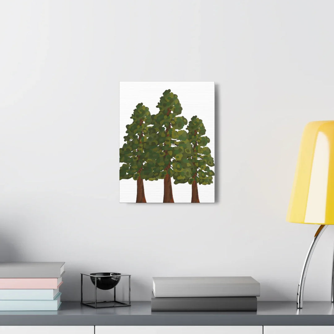 Coastal Redwoods Canvas - Stretched Cotton Canvas Art Print | Matte Finish Wall Hanging Artwork