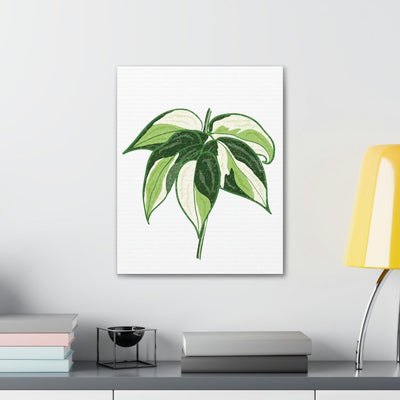 Philodendron 'Cream Splash' Canvas, Canvas, Printify, Art & Wall Decor, Canvas, Hanging Hardware, Home & Living, Indoor, Laura Christine Photography & Design, laurachristinedesign.com