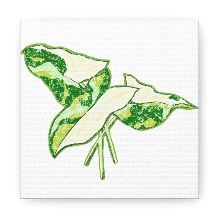 Marble Syngonium Canvas - Botanical Canvas Art Print | Durable Cotton Matte Finish - Laura Christine Photography & Design