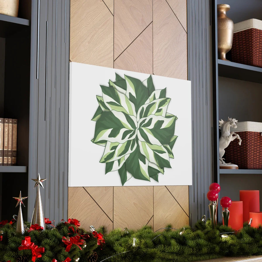 Calathea White Fusion Canvas | Indoor Wall Art - Matte Finish Botanical Canvas Art Print - Laura Christine Photography & Design