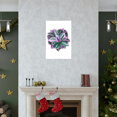 Tradescantia Nanouk Print