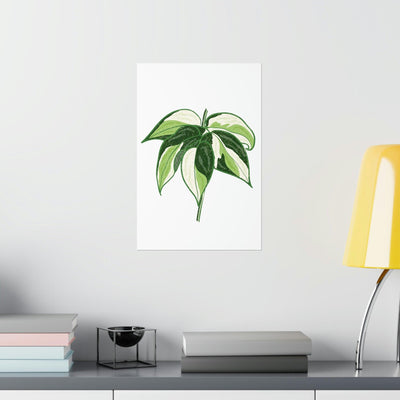 Philodendron 'Cream Splash' Print, Poster, Printify, Back to School, Home & Living, Indoor, Matte, Paper, Posters, Valentine's Day promotion, Laura Christine Photography & Design, laurachristinedesign.com