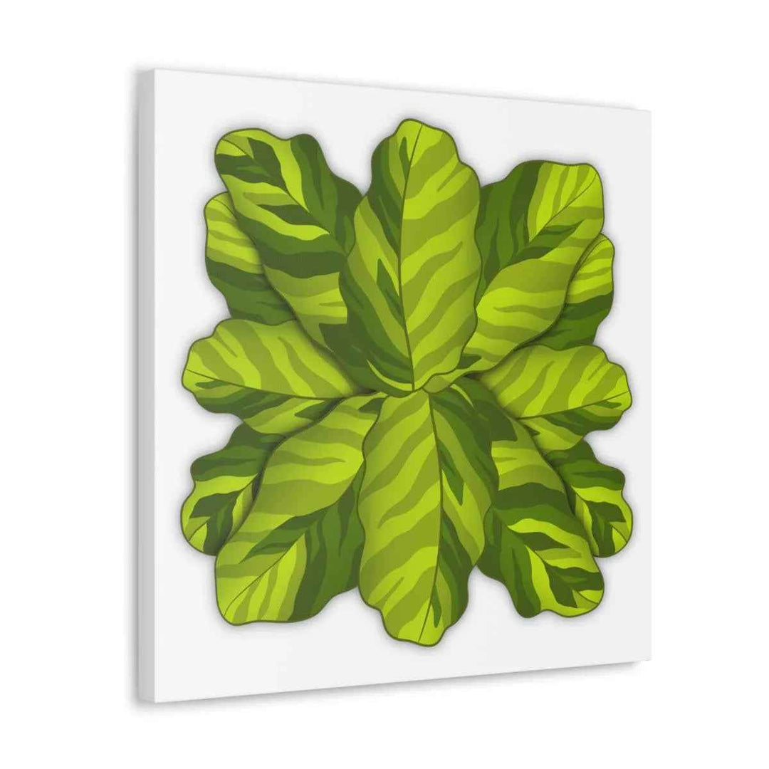 Calathea Yellow Fusion Canvas – Botanical Canvas Print With Unique Leaf Pattern Art