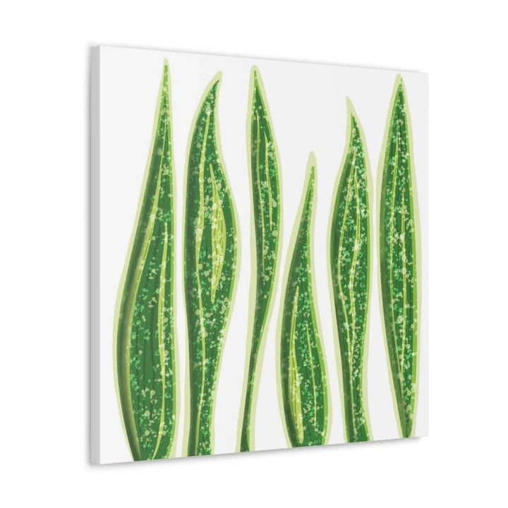 Snake Plant Canvas | Botanical Canvas Decor - Matte Finish Artwork for Living Room - Laura Christine Photography & Design