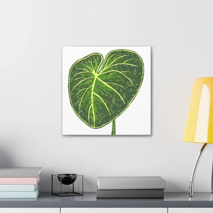 Philodendron Gloriosum Canvas - Stretched Canvas Art Print | Matte Indoor Wall Art - Laura Christine Photography & Design