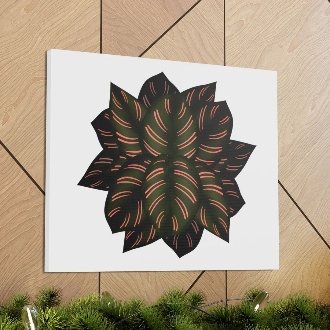 Calathea Pinstripe Canvas – Botanical Canvas Art Print | Matte Finish Wall Decor
