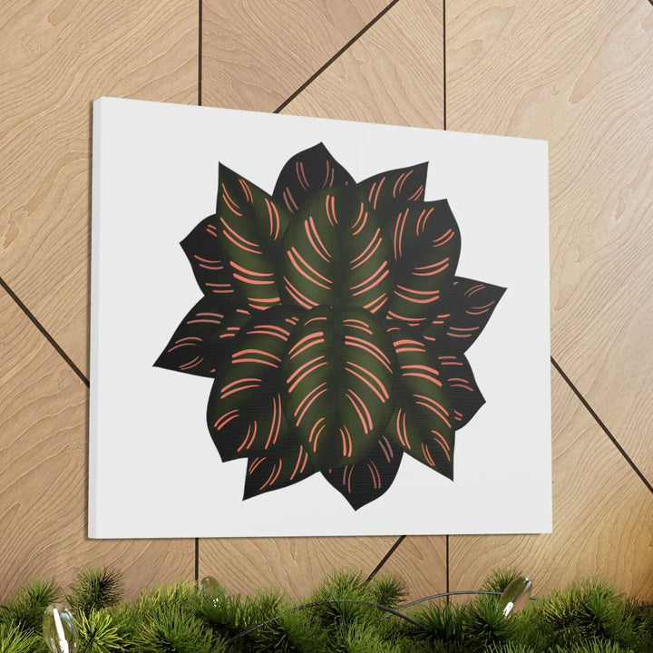 Calathea Pinstripe Canvas – Botanical Canvas Art Print | Matte Finish Wall Decor
