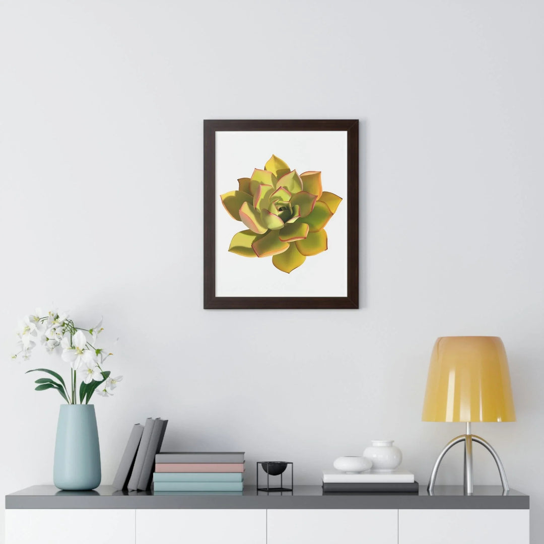 Noble Aeonium Succulent Framed Print, Poster, Printify, Framed, Home & Living, Indoor, Paper, Posters, Laura Christine Photography & Design, laurachristinedesign.com