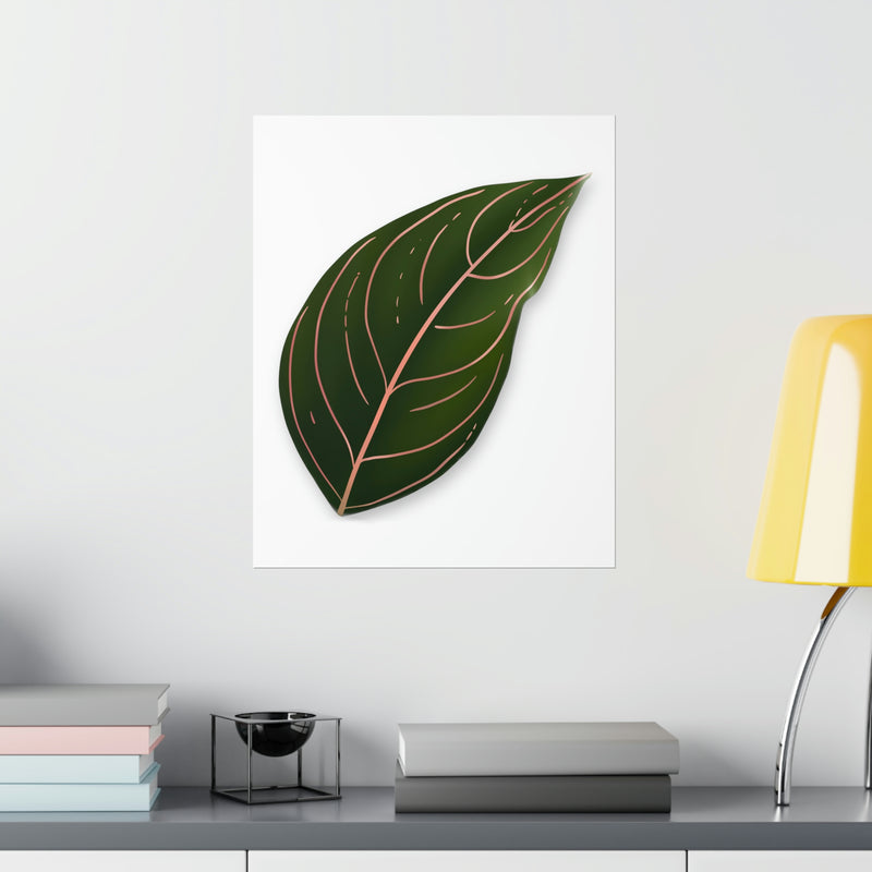 Aglaonema Rotundum Print