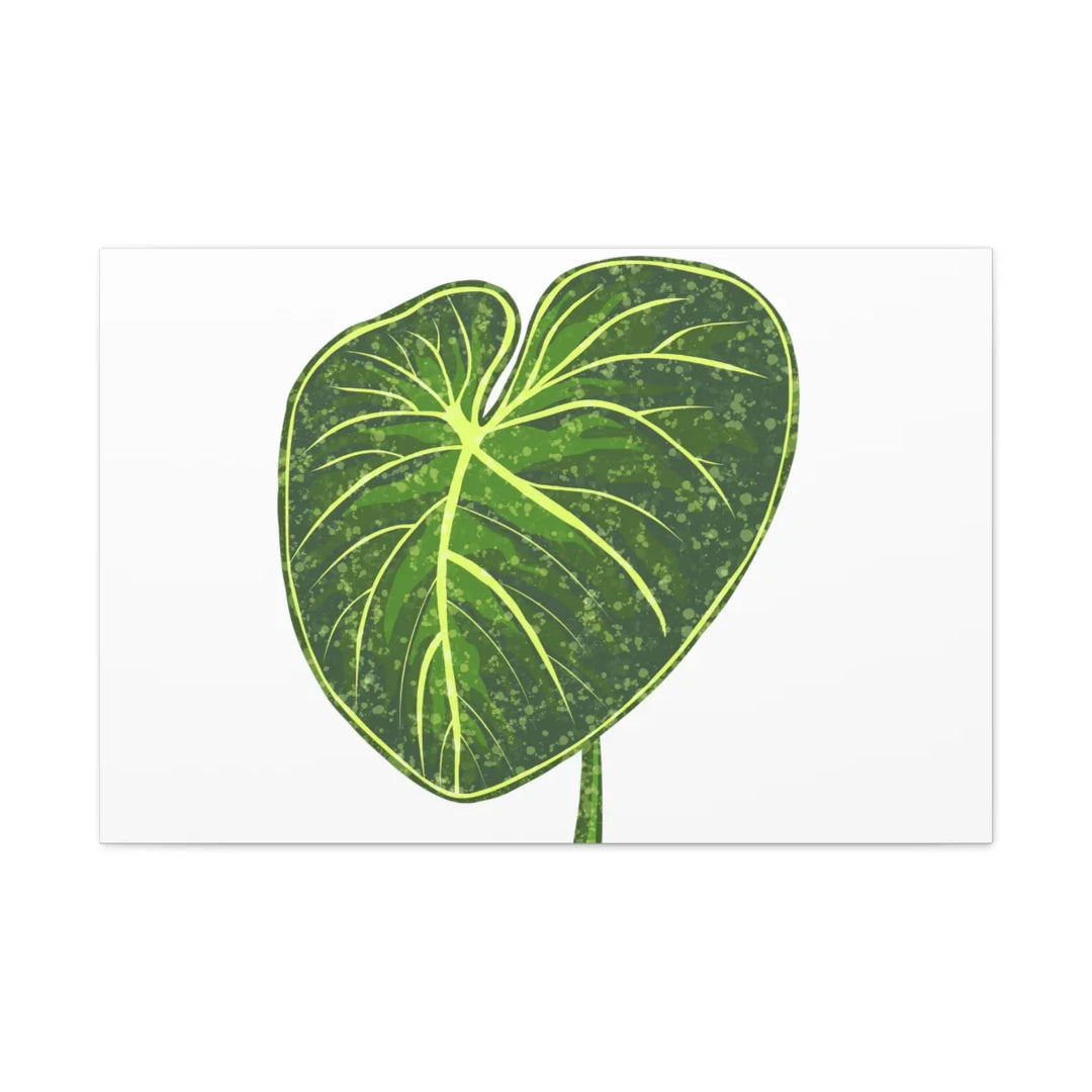 Philodendron Gloriosum Canvas - Stretched Canvas Art Print | Matte Indoor Wall Art - Laura Christine Photography & Design