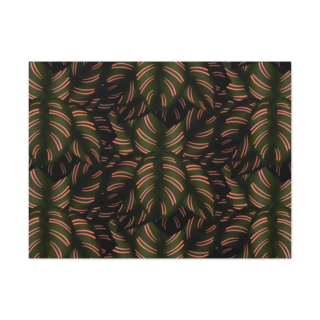 Calathea Pinstripe Canvas – Botanical Canvas Art Print | Matte Finish Wall Decor