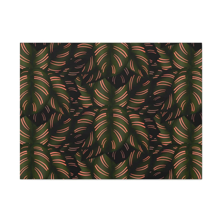 Calathea Pinstripe Canvas – Botanical Canvas Art Print | Matte Finish Wall Decor
