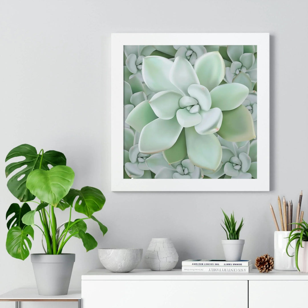 Pachyveria Haagei Succulent Pattern Framed Print, Poster, Printify, Framed, Home & Living, Indoor, Paper, Posters, Laura Christine Photography & Design, laurachristinedesign.com