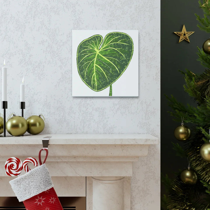 Philodendron Gloriosum Canvas - Stretched Canvas Art Print | Matte Indoor Wall Art - Laura Christine Photography & Design