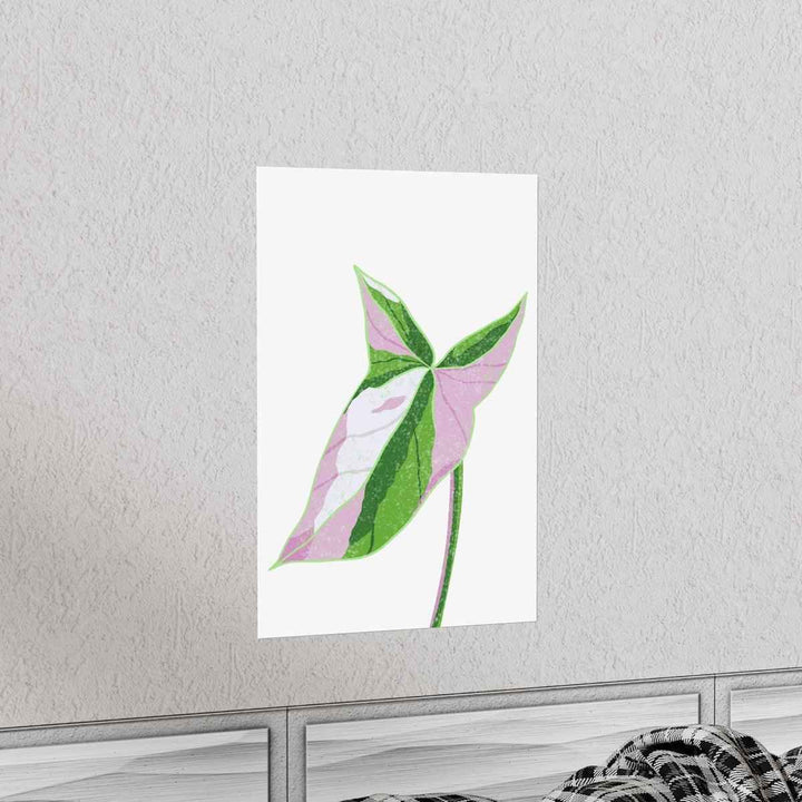 Syngonium Tricolor Print – Botanical Wall Art | Variegated Leaf Poster Unframed