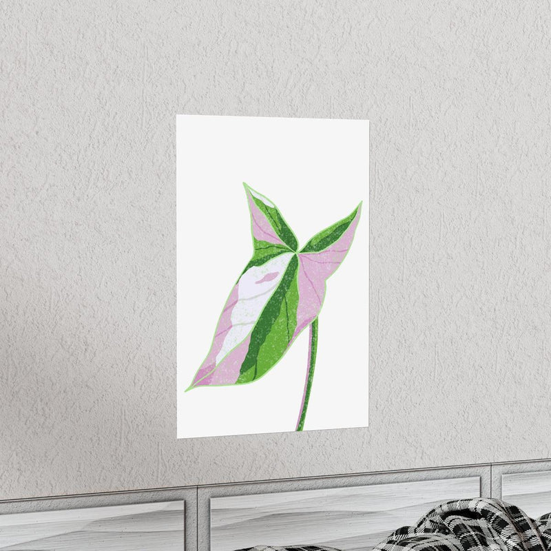 Syngonium Tricolor Print, Poster, Laura Christine Photography & Design, Back to School, Home & Living, Indoor, Matte, Paper, Posters, Valentine&