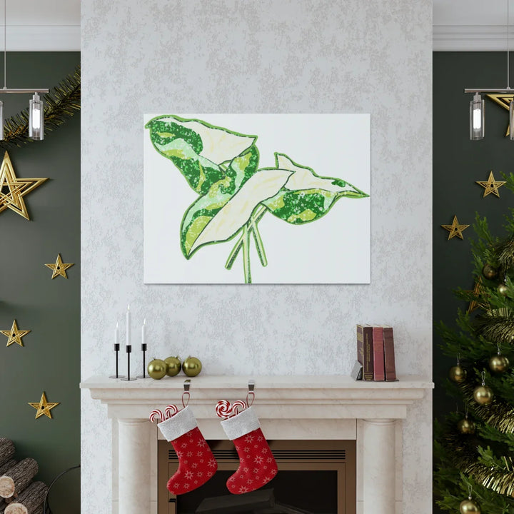 Marble Syngonium Canvas - Botanical Canvas Art Print | Durable Cotton Matte Finish - Laura Christine Photography & Design