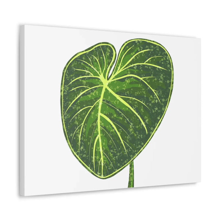 Philodendron Gloriosum Canvas - Stretched Canvas Art Print | Matte Indoor Wall Art - Laura Christine Photography & Design