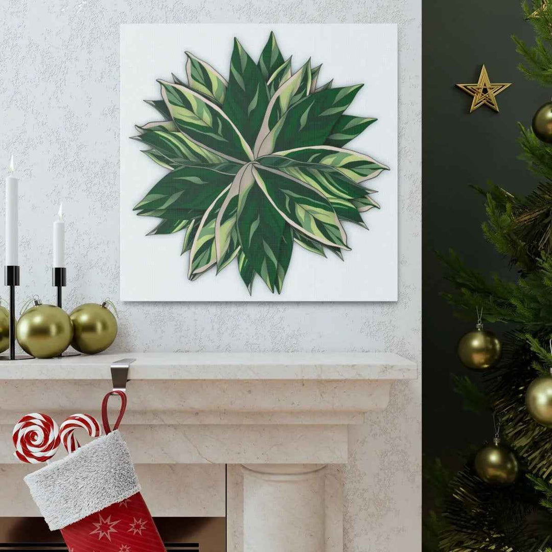 Stromanthe Triostar Canvas - Pastel Stripe Canvas Art Print With Vivid Color Artwork