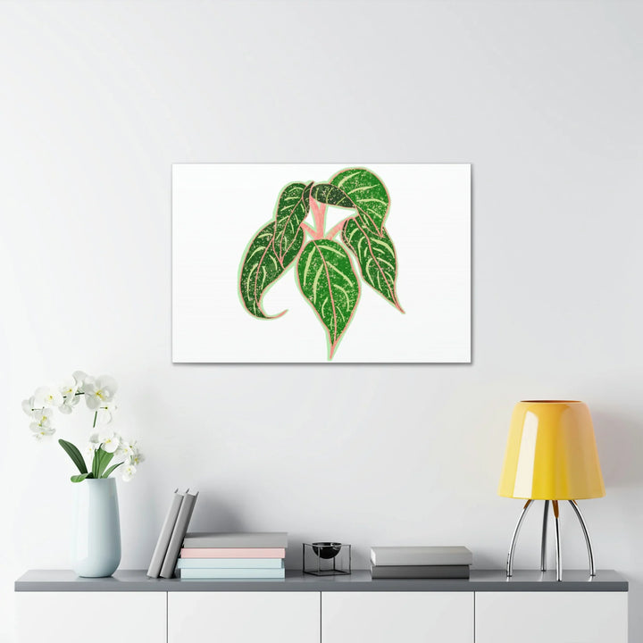 Aglaonema Plant Canvas | Sparkling Plant Artwork - Colorfast Canvas Art Print Decor