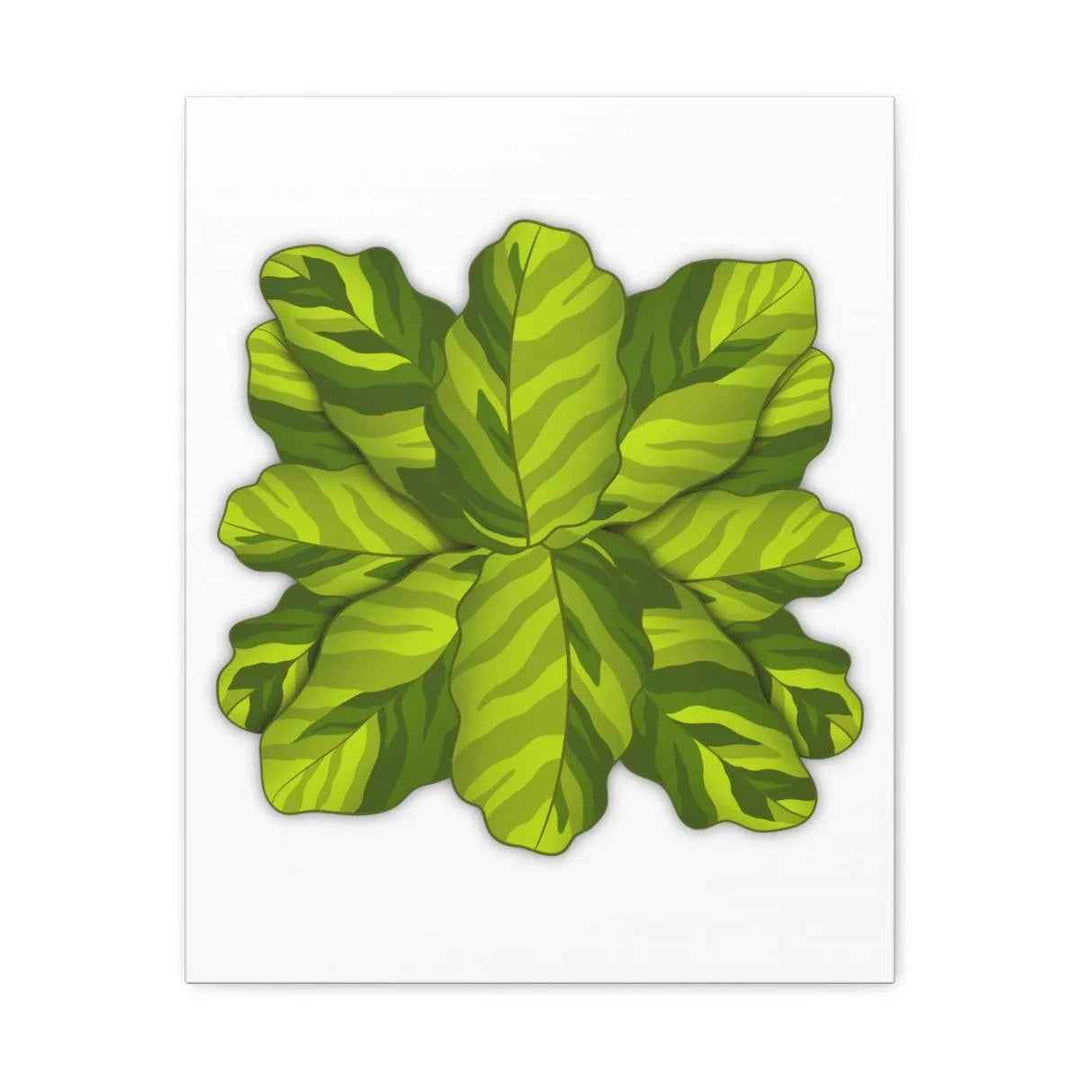 Calathea Yellow Fusion Canvas – Botanical Canvas Print With Unique Leaf Pattern Art