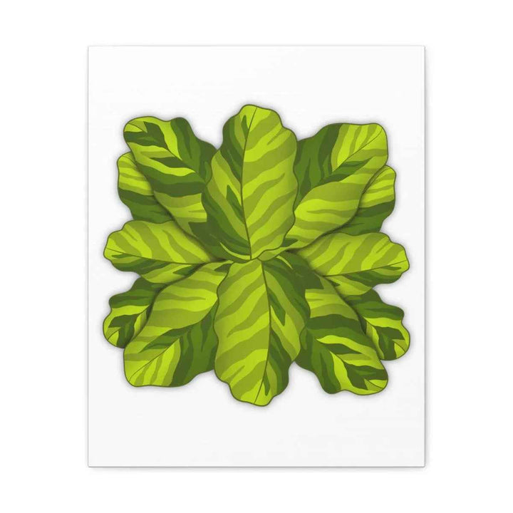 Calathea Yellow Fusion Canvas – Botanical Canvas Print With Unique Leaf Pattern Art