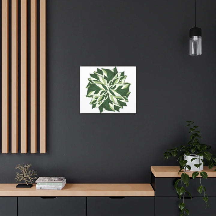 Calathea White Fusion Canvas | Indoor Wall Art - Matte Finish Botanical Canvas Art Print - Laura Christine Photography & Design