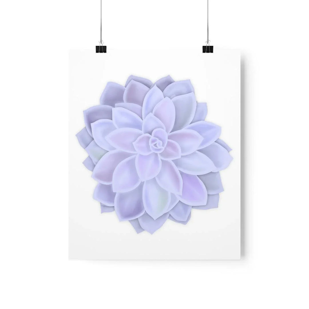 Graptopetalum 'Murasaki' Succulent Print, Poster, Laura Christine Photography & Design, Back to School, Home & Living, Indoor, Matte, Paper, Posters, Valentine's Day promotion, Laura Christine Photography & Design, laurachristinedesign.com