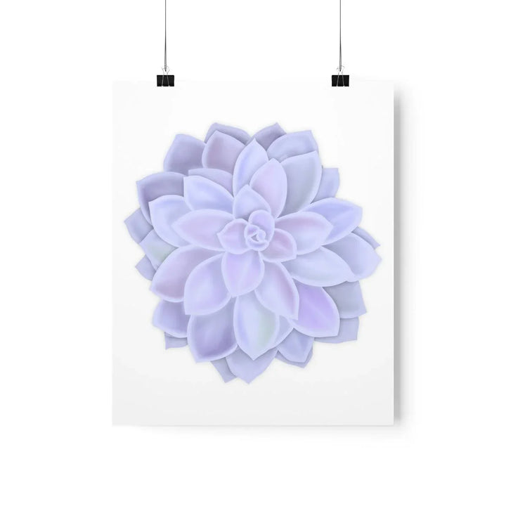 Graptopetalum 'Murasaki' Succulent Print, Poster, Laura Christine Photography & Design, Back to School, Home & Living, Indoor, Matte, Paper, Posters, Valentine's Day promotion, Laura Christine Photography & Design, laurachristinedesign.com