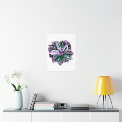 Tradescantia Nanouk Print