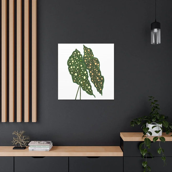 Begonia Maculata Canvas | Premium Canvas Art Print - Matte Finish, Durable Wall Decor - Laura Christine Photography & Design