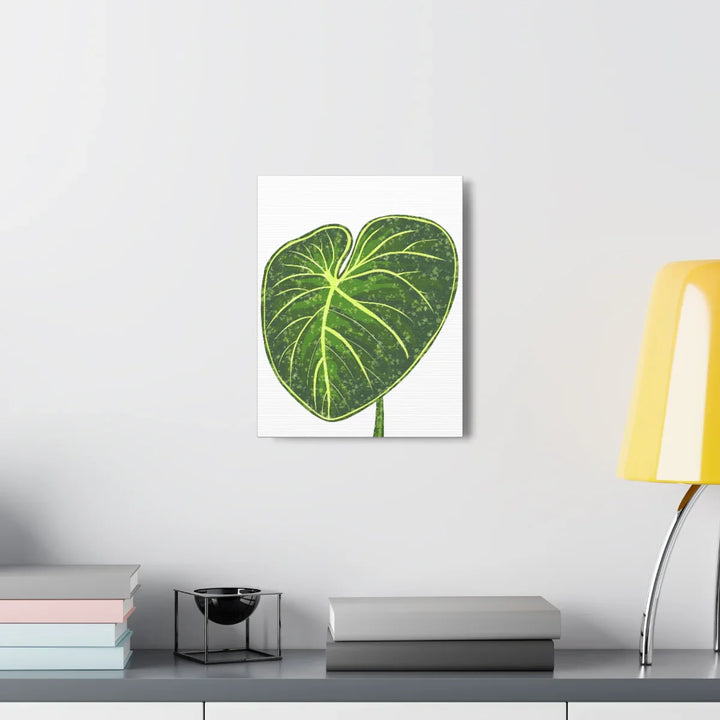 Philodendron Gloriosum Canvas - Stretched Canvas Art Print | Matte Indoor Wall Art - Laura Christine Photography & Design