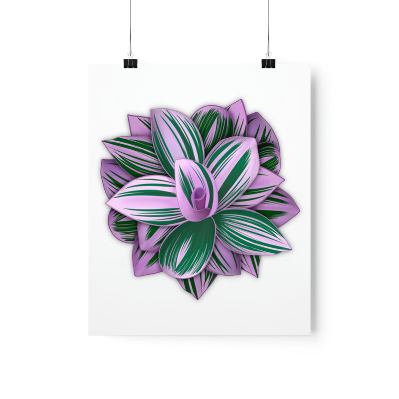 Tradescantia Nanouk Print