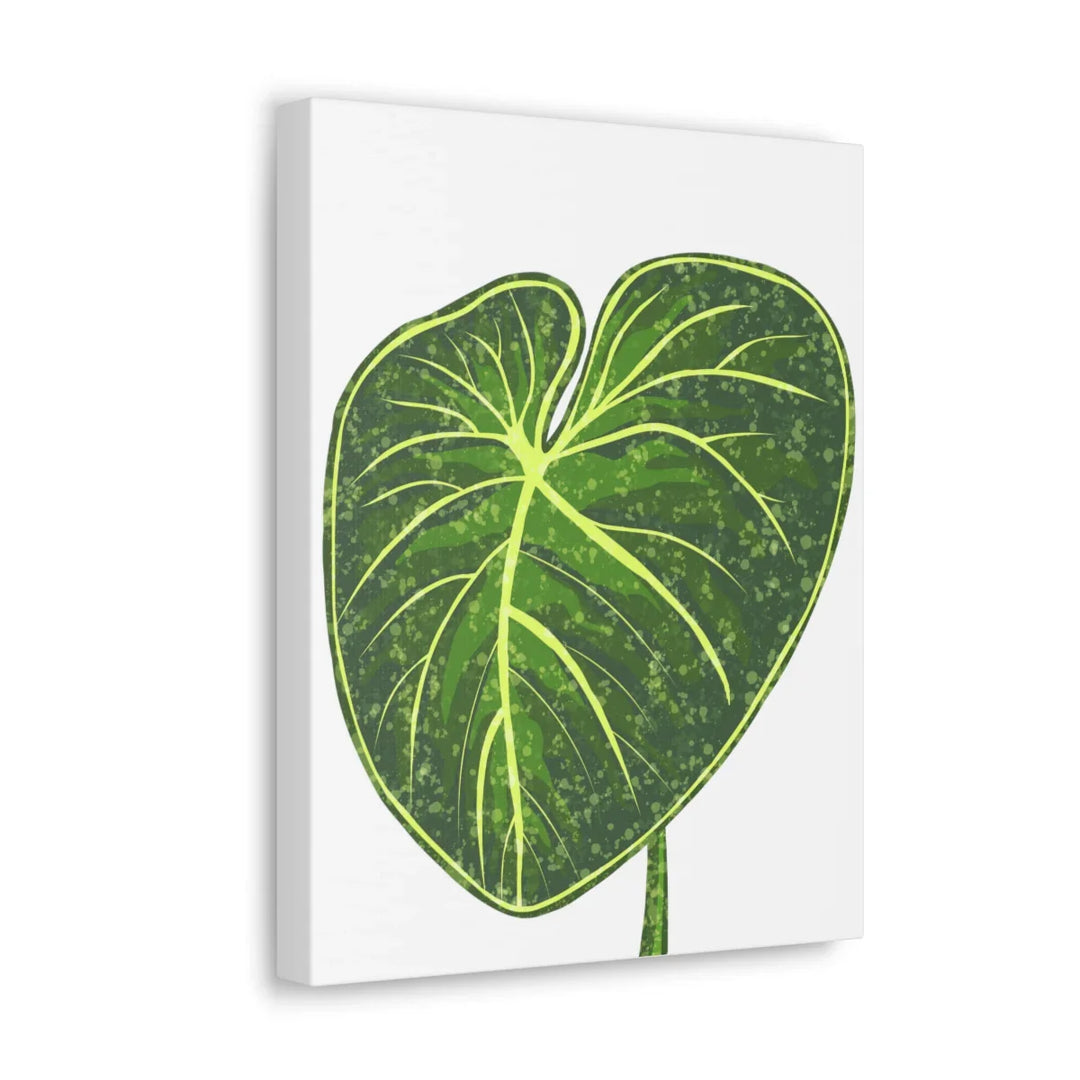 Philodendron Gloriosum Canvas - Stretched Canvas Art Print | Matte Indoor Wall Art - Laura Christine Photography & Design