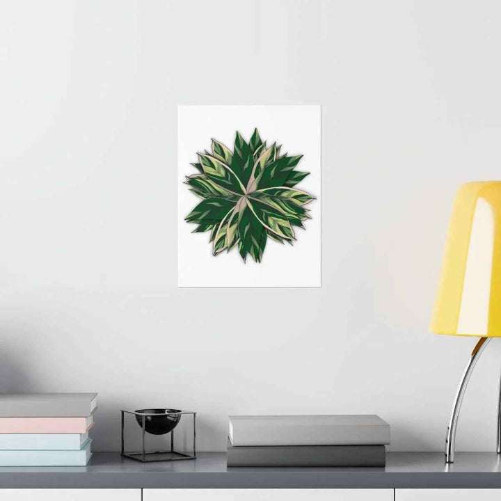Stromanthe Triostar Print – Tropical Wall Art | Botanical Poster on Museum Grade Paper Unframed