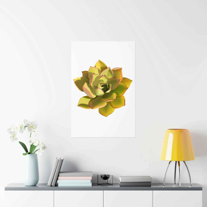 POS Aeonium Print