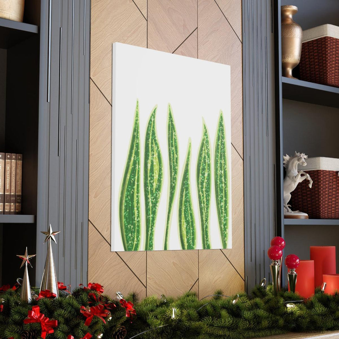 Snake Plant Canvas | Botanical Canvas Decor - Matte Finish Artwork for Living Room - Laura Christine Photography & Design