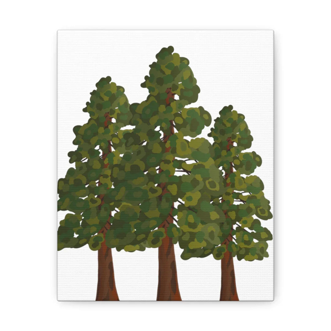 Coastal Redwoods Canvas - Stretched Cotton Canvas Art Print | Matte Finish Wall Hanging Artwork