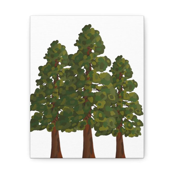Coastal Redwoods Canvas - Stretched Cotton Canvas Art Print | Matte Finish Wall Hanging Artwork