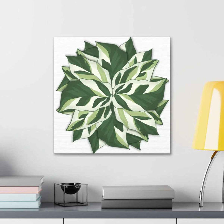 Calathea White Fusion Canvas | Indoor Wall Art - Matte Finish Botanical Canvas Art Print